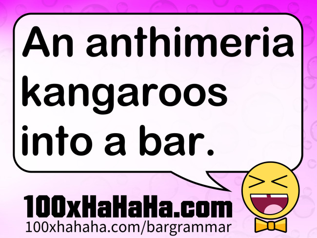 An anthimeria kangaroos into a bar.