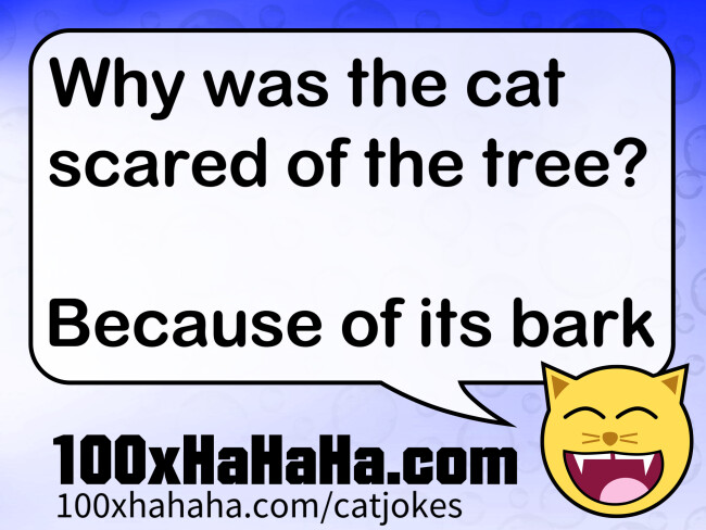 Why was the cat scared of the tree? / / Because of its bark