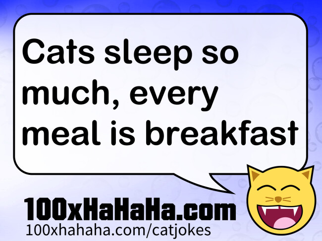 Cats sleep so much, every meal is breakfast