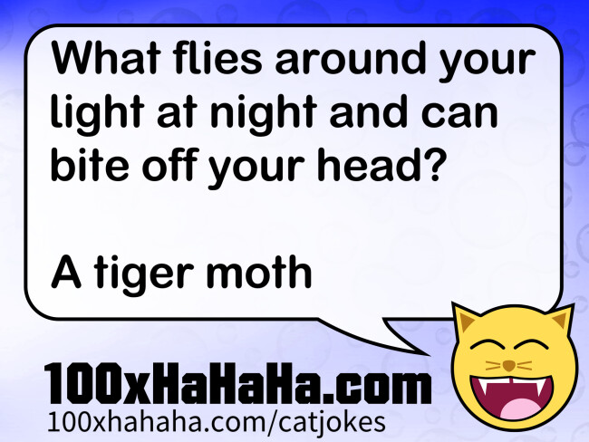 What flies around your light at night and can bite off your head? / / A tiger moth