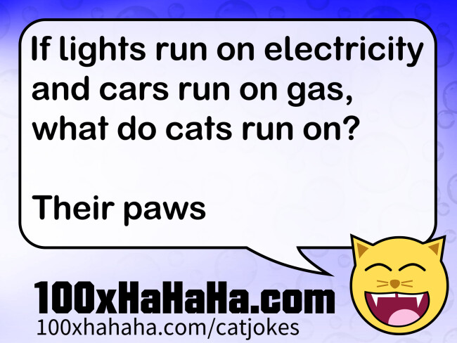 If lights run on electricity and cars run on gas, what do cats run on? / / Their paws