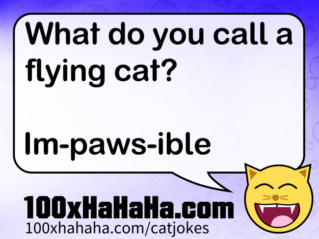 What do you call a flying cat? / / Im-paws-ible