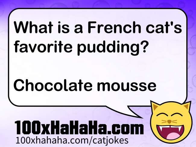 What is a French cat's favorite pudding? / / Chocolate mousse