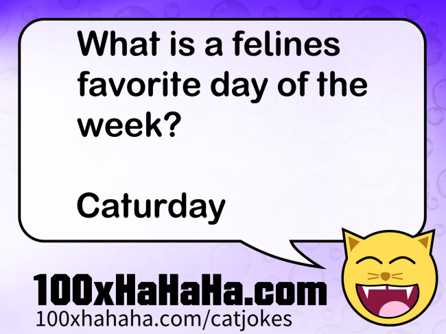 What is a felines favorite day of the week? / / Caturday