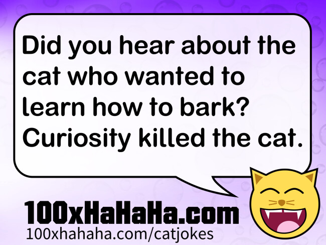 Did you hear about the cat who wanted to learn how to bark? Curiosity killed the cat.