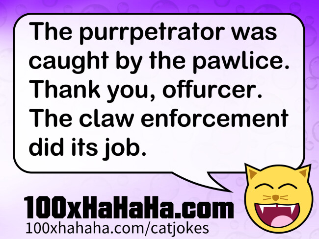 The purrpetrator was caught by the pawlice. Thank you, offurcer. The claw enforcement did its job.