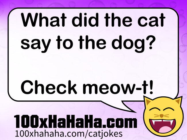 What did the cat say to the dog? / / Check meow-t!