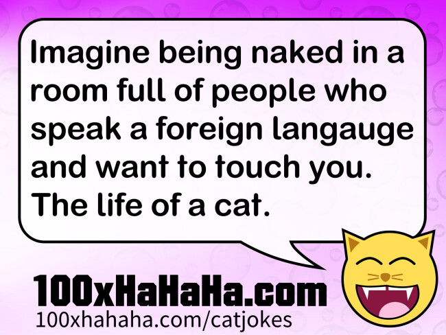 Imagine being naked in a room full of people who speak a foreign langauge and want to touch you. The life of a cat.