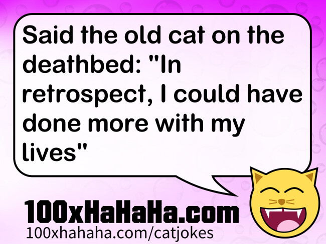 Said the old cat on the deathbed: "In retrospect, I could have done more with my lives"