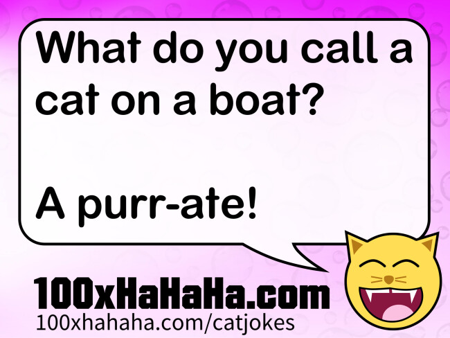 What do you call a cat on a boat? / / A purr-ate!