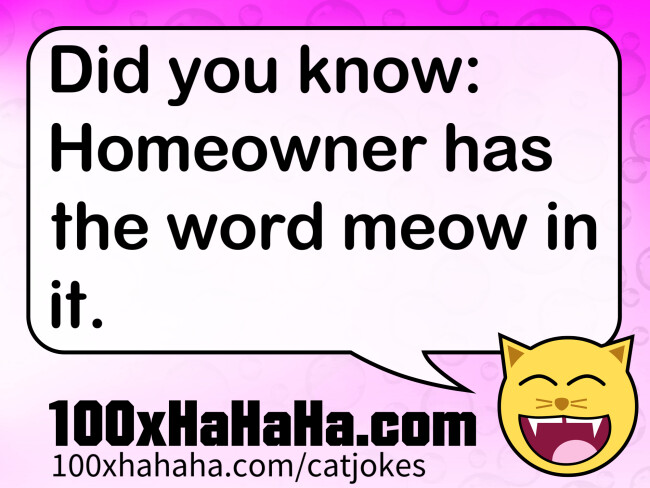 Did you know: Homeowner has the word meow in it.