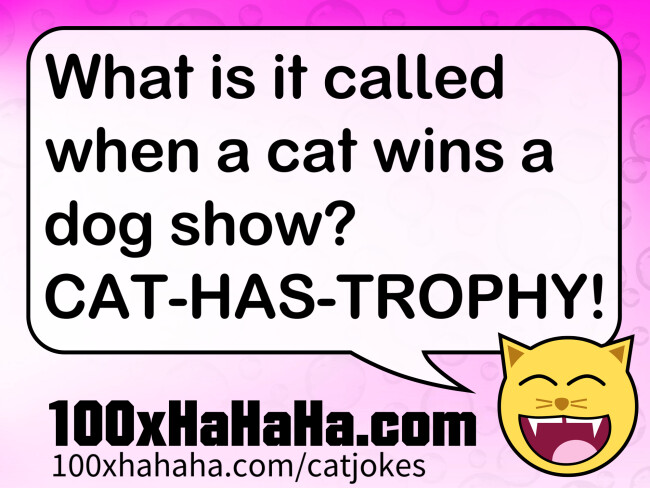 What is it called when a cat wins a dog show? CAT-HAS-TROPHY!
