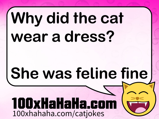 Why did the cat wear a dress? / / She was feline fine