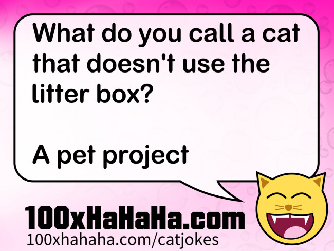 What do you call a cat that doesn't use the litter box? / / A pet project