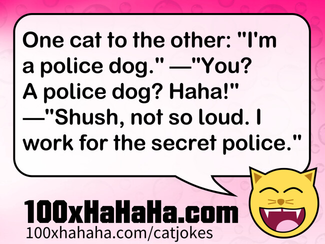 One cat to the other: "I'm a police dog." —"You? A police dog? Haha!" —"Shush, not so loud. I work for the secret police."