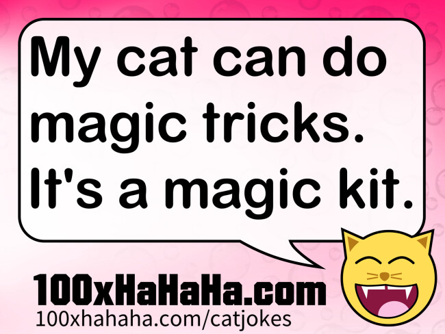 My cat can do magic tricks. It's a magic kit.