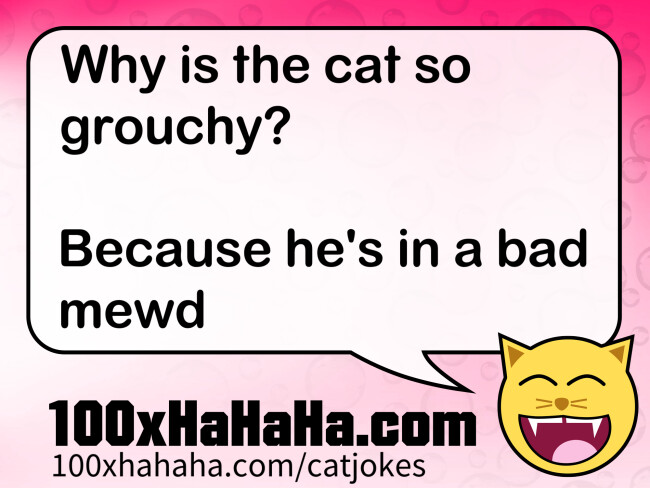 Why is the cat so grouchy? / / Because he's in a bad mewd