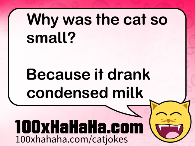 Why was the cat so small? / / Because it drank condensed milk