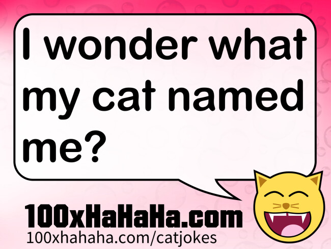 I wonder what my cat named me?