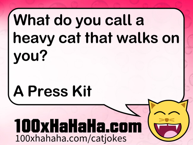 What do you call a heavy cat that walks on you? / / A Press Kit