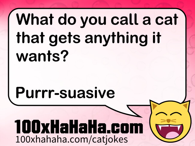What do you call a cat that gets anything it wants? / / Purrr-suasive