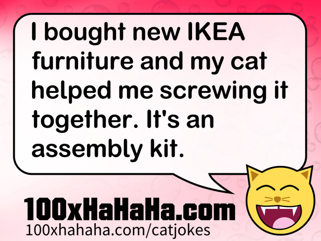 I bought new IKEA furniture and my cat helped me screwing it together. It's an assembly kit.