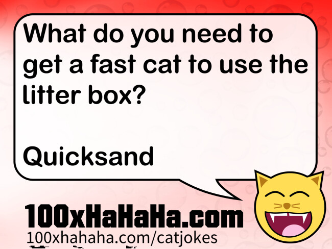 What do you need to get a fast cat to use the litter box? / / Quicksand