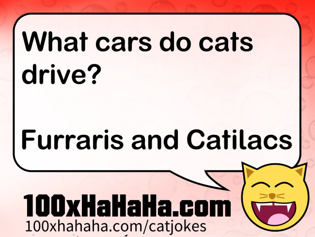 What cars do cats drive? / / Furraris and Catilacs