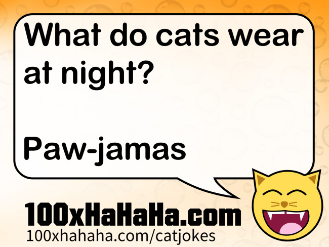 What do cats wear at night? / / Paw-jamas