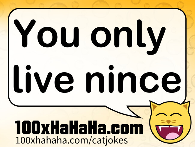 You only live nince