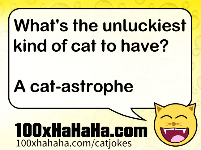 What's the unluckiest kind of cat to have? / / A cat-astrophe