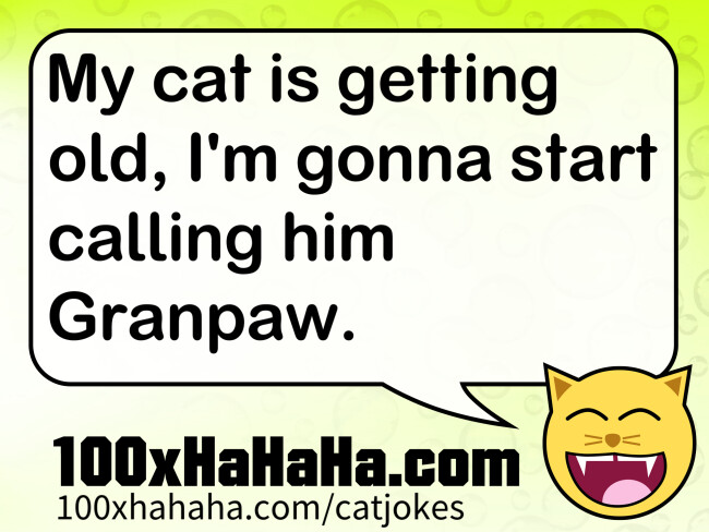 My cat is getting old, I'm gonna start calling him Granpaw.