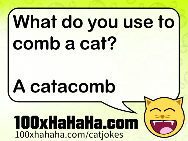 What do you use to comb a cat? / / A catacomb