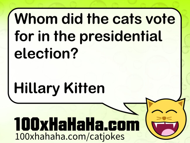 Whom did the cats vote for in the presidential election? / / Hillary Kitten