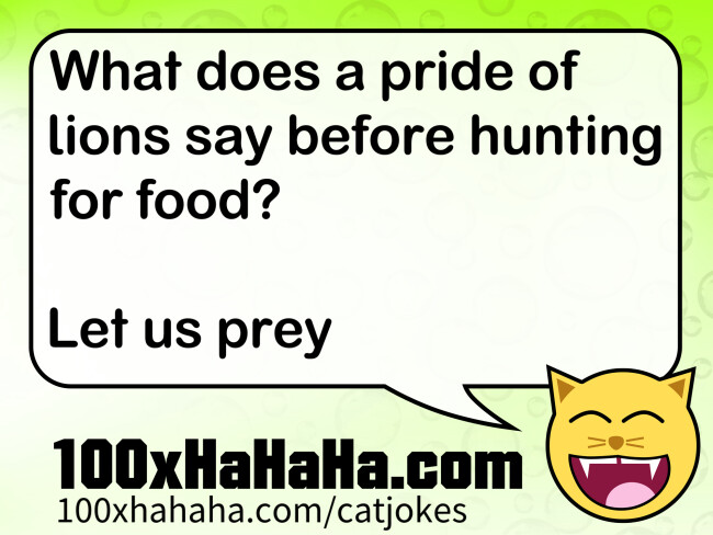 What does a pride of lions say before hunting for food? / / Let us prey