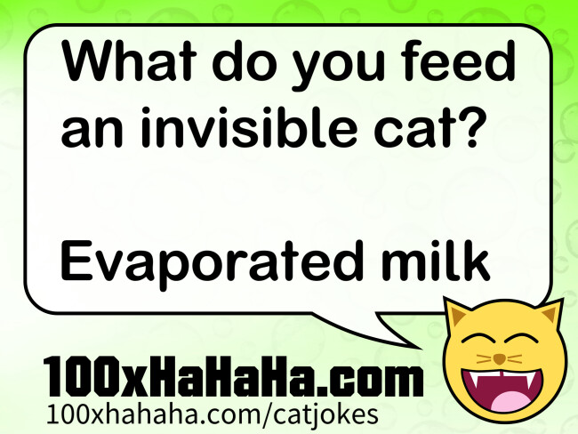 What do you feed an invisible cat? / / Evaporated milk