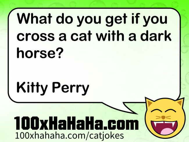 What do you get if you cross a cat with a dark horse? / / Kitty Perry