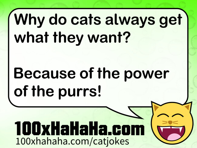 Why do cats always get what they want? / / Because of the power of the purrs!