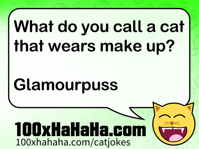 What do you call a cat that wears make up? / / Glamourpuss