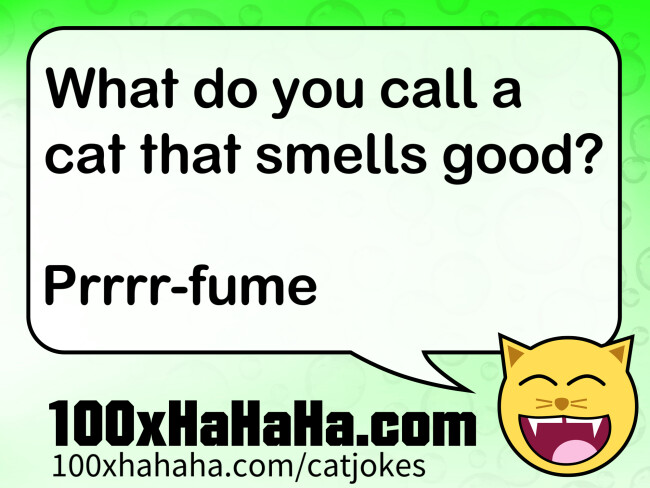 What do you call a cat that smells good? / / Prrrr-fume