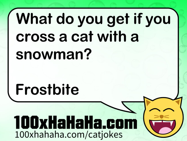 What do you get if you cross a cat with a snowman? / / Frostbite