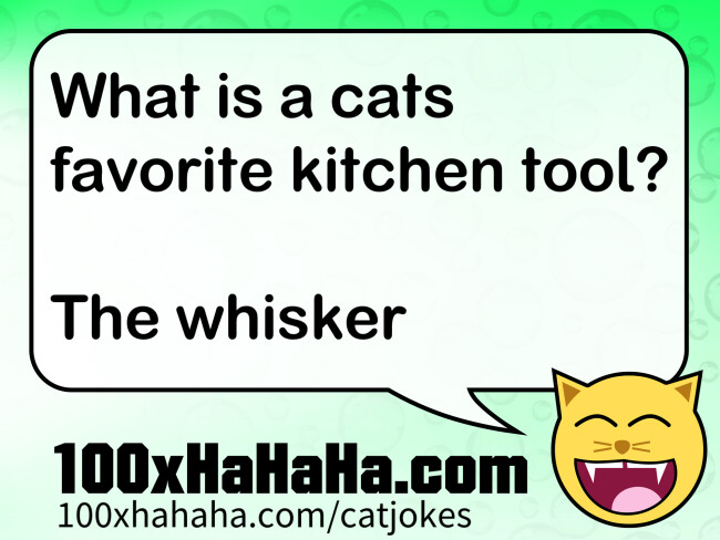What is a cats favorite kitchen tool? / / The whisker