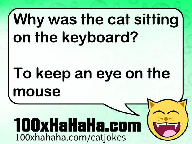 Why was the cat sitting on the keyboard? / / To keep an eye on the mouse