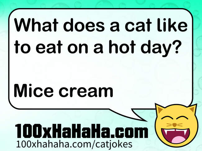 What does a cat like to eat on a hot day? / / Mice cream