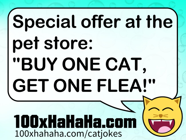 Special offer at the pet store: "BUY ONE CAT, GET ONE FLEA!"
