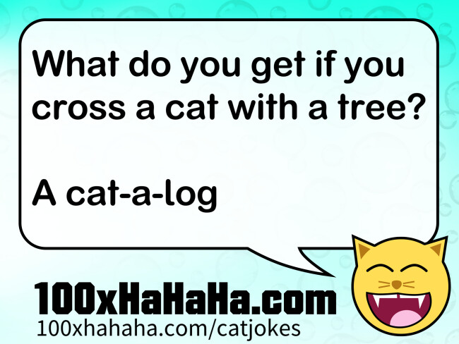 What do you get if you cross a cat with a tree? / / A cat-a-log