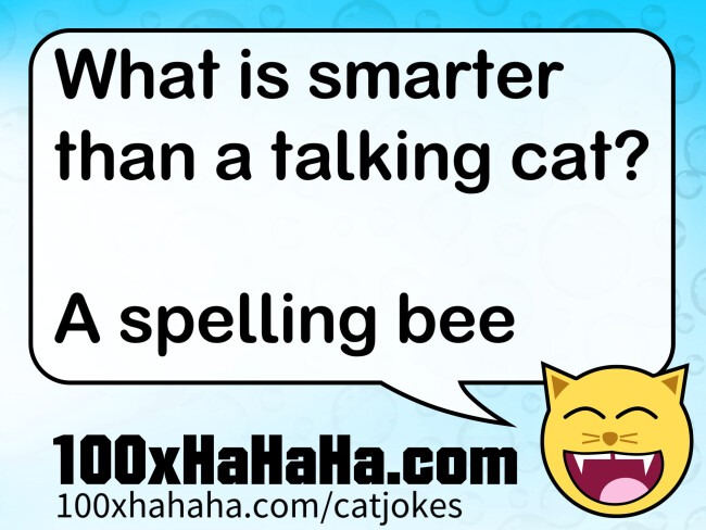 What is smarter than a talking cat? / / A spelling bee