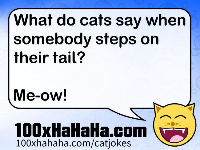 What do cats say when somebody steps on their tail? / / Me-ow!
