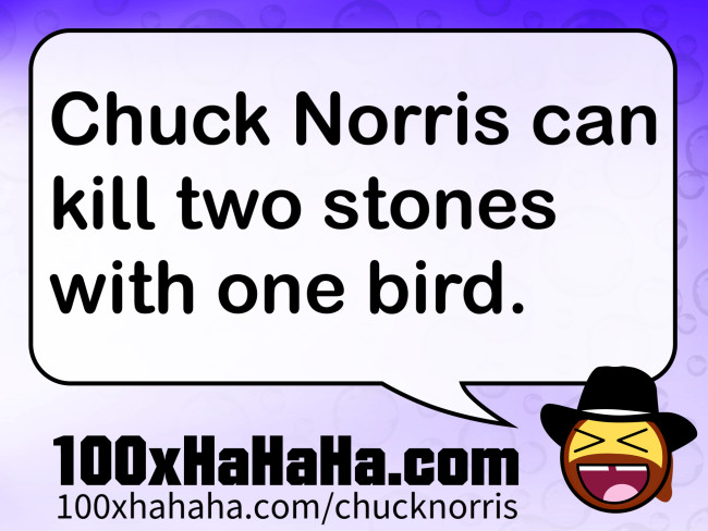 Chuck Norris can kill two stones with one bird