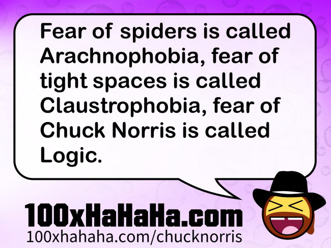 Fear of spiders is called Arachnophobia, fear of tight spaces is called Claustrophobia, fear of Chuck Norris is called Logic